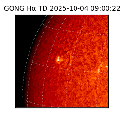 gong - 2025-10-04T09:00:22