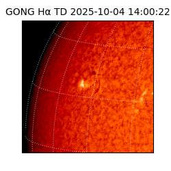 gong - 2025-10-04T14:00:22