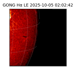 gong - 2025-10-05T02:02:42