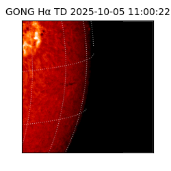 gong - 2025-10-05T11:00:22