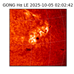 gong - 2025-10-05T02:02:42