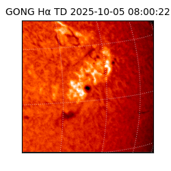 gong - 2025-10-05T08:00:22