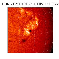 gong - 2025-10-05T12:00:22