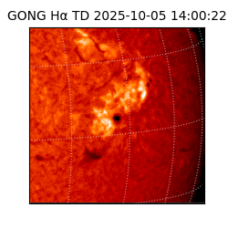 gong - 2025-10-05T14:00:22
