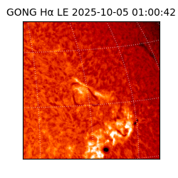 gong - 2025-10-05T01:00:42