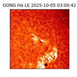 gong - 2025-10-05T03:00:42