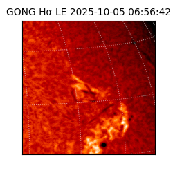 gong - 2025-10-05T06:56:42