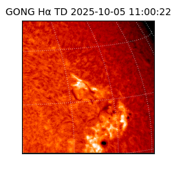 gong - 2025-10-05T11:00:22