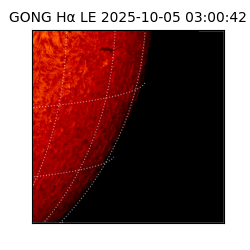 gong - 2025-10-05T03:00:42