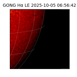 gong - 2025-10-05T06:56:42