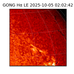gong - 2025-10-05T02:02:42