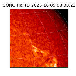 gong - 2025-10-05T08:00:22