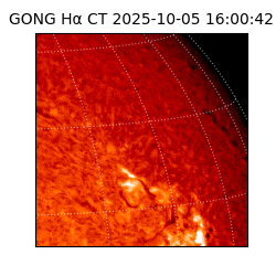 gong - 2025-10-05T16:00:42
