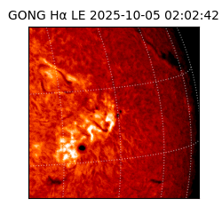 gong - 2025-10-05T02:02:42