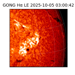 gong - 2025-10-05T03:00:42