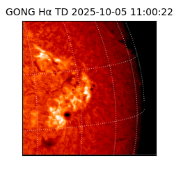 gong - 2025-10-05T11:00:22