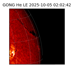 gong - 2025-10-05T02:02:42
