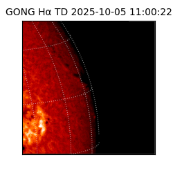 gong - 2025-10-05T11:00:22