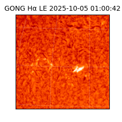 gong - 2025-10-05T01:00:42