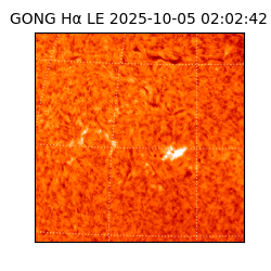gong - 2025-10-05T02:02:42