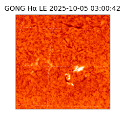 gong - 2025-10-05T03:00:42