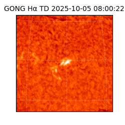 gong - 2025-10-05T08:00:22