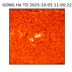 gong - 2025-10-05T11:00:22