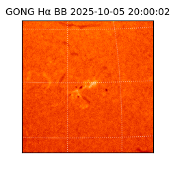 gong - 2025-10-05T20:00:02