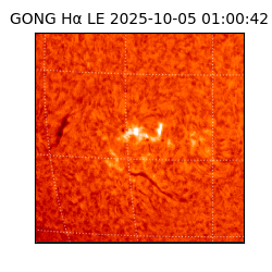 gong - 2025-10-05T01:00:42