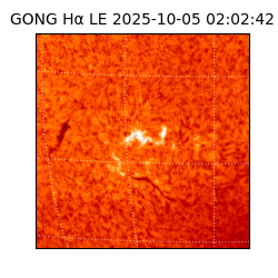 gong - 2025-10-05T02:02:42