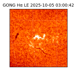 gong - 2025-10-05T03:00:42