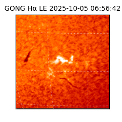 gong - 2025-10-05T06:56:42