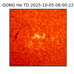 gong - 2025-10-05T08:00:22