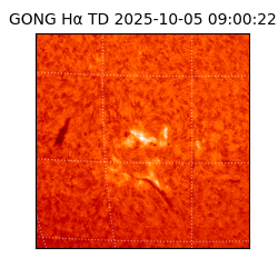 gong - 2025-10-05T09:00:22