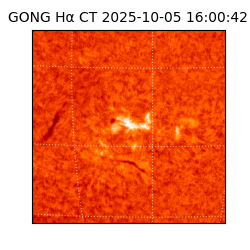 gong - 2025-10-05T16:00:42