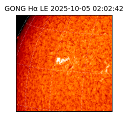 gong - 2025-10-05T02:02:42