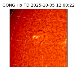 gong - 2025-10-05T12:00:22