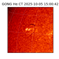 gong - 2025-10-05T15:00:42