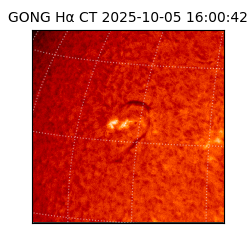 gong - 2025-10-05T16:00:42