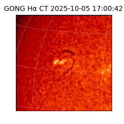 gong - 2025-10-05T17:00:42