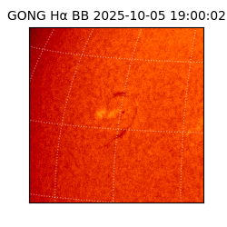 gong - 2025-10-05T19:00:02