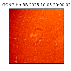 gong - 2025-10-05T20:00:02