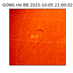 gong - 2025-10-05T21:00:02