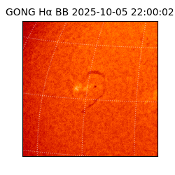 gong - 2025-10-05T22:00:02