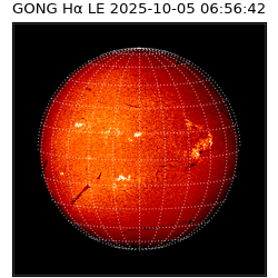 gong - 2025-10-05T06:56:42