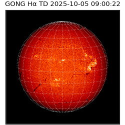 gong - 2025-10-05T09:00:22