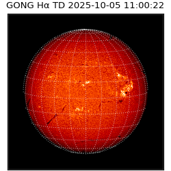 gong - 2025-10-05T11:00:22