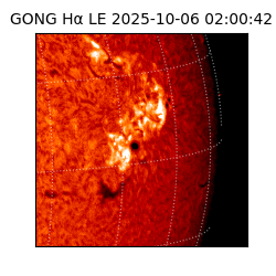 gong - 2025-10-06T02:00:42