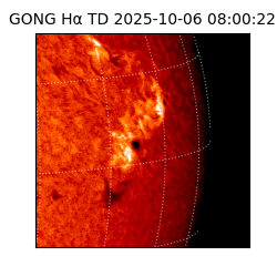 gong - 2025-10-06T08:00:22