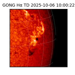 gong - 2025-10-06T10:00:22